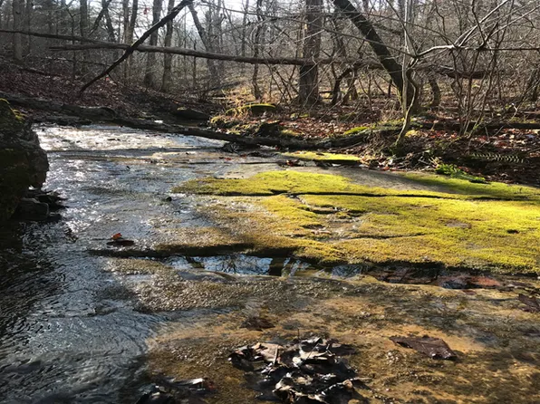 430 Zone Ridge Ln, Yellville, AR 72687