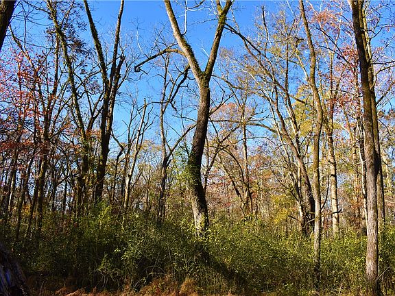 3rd image of 0 Lee Road 93