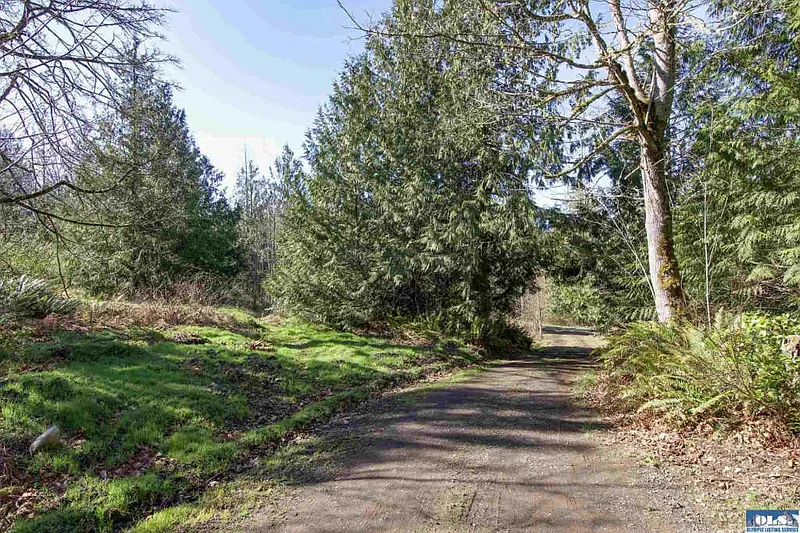Thumbnail 15