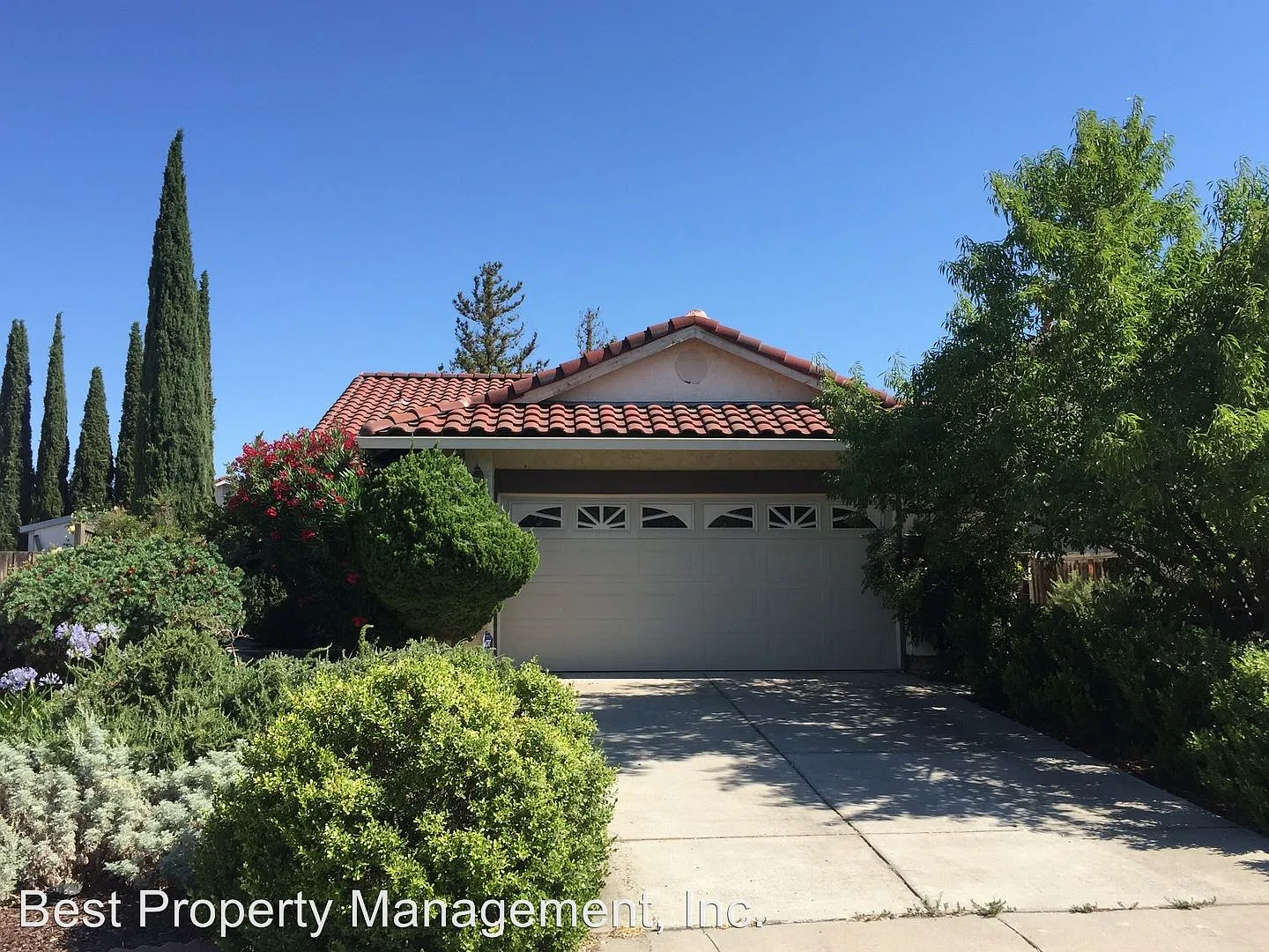 2825 Cashew St photo 1