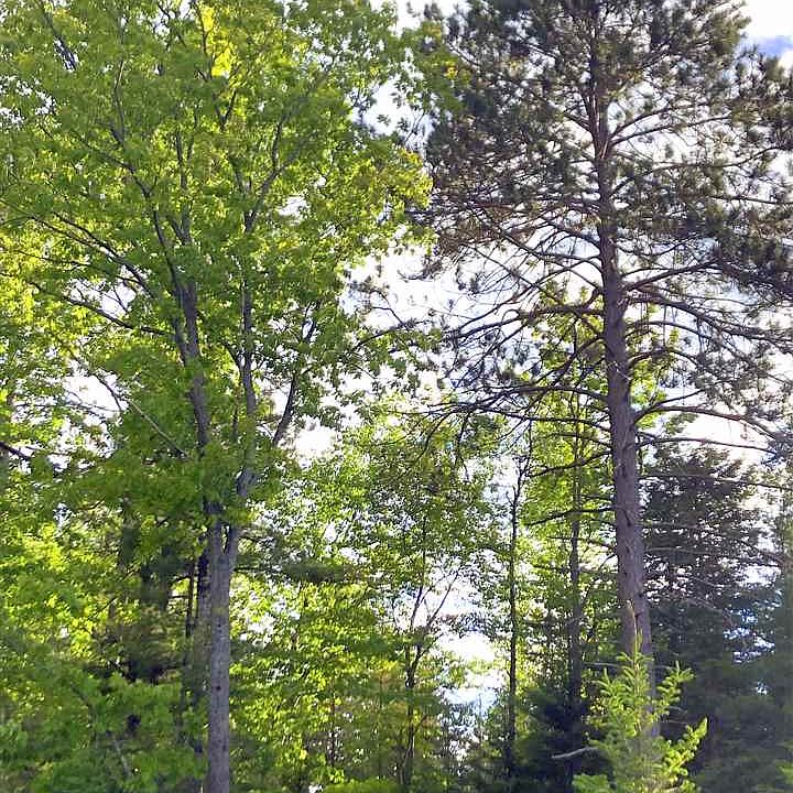 1st image of Tbd Co Rd 496