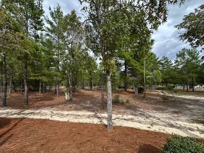 325 Blackfoot Dr, Defuniak Springs, FL, 32433