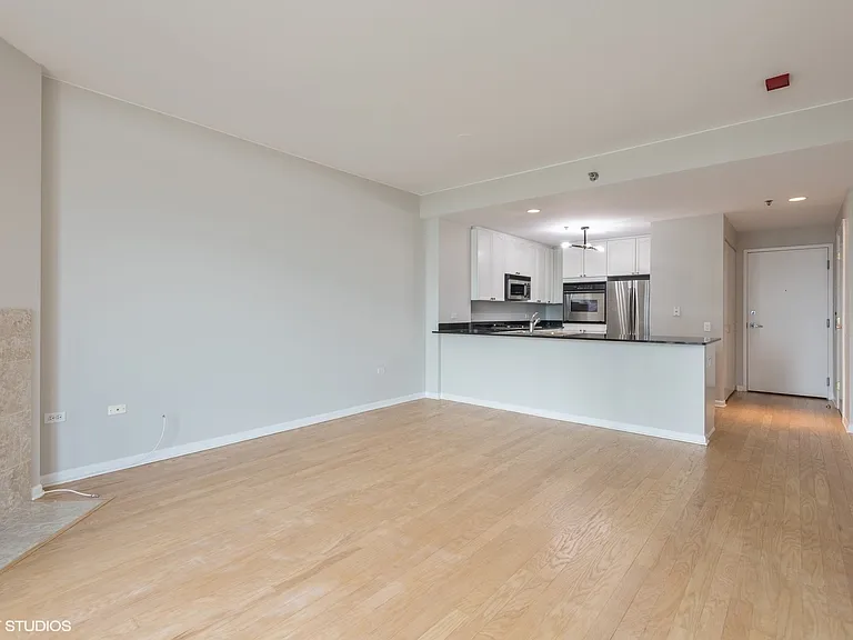 1515 S Prairie Ave #1204 — Photo 4
