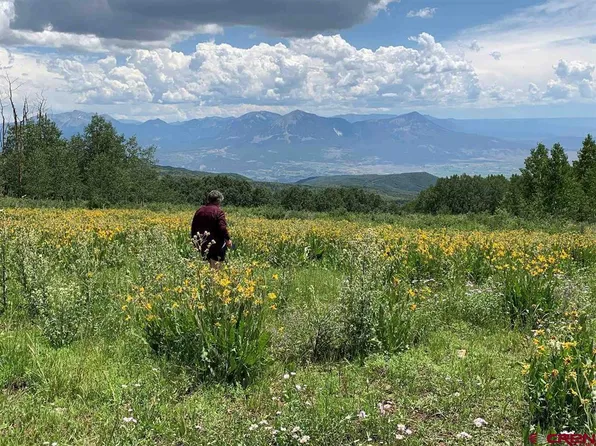 34681 Forest Road 128.G, Hotchkiss, CO 81419