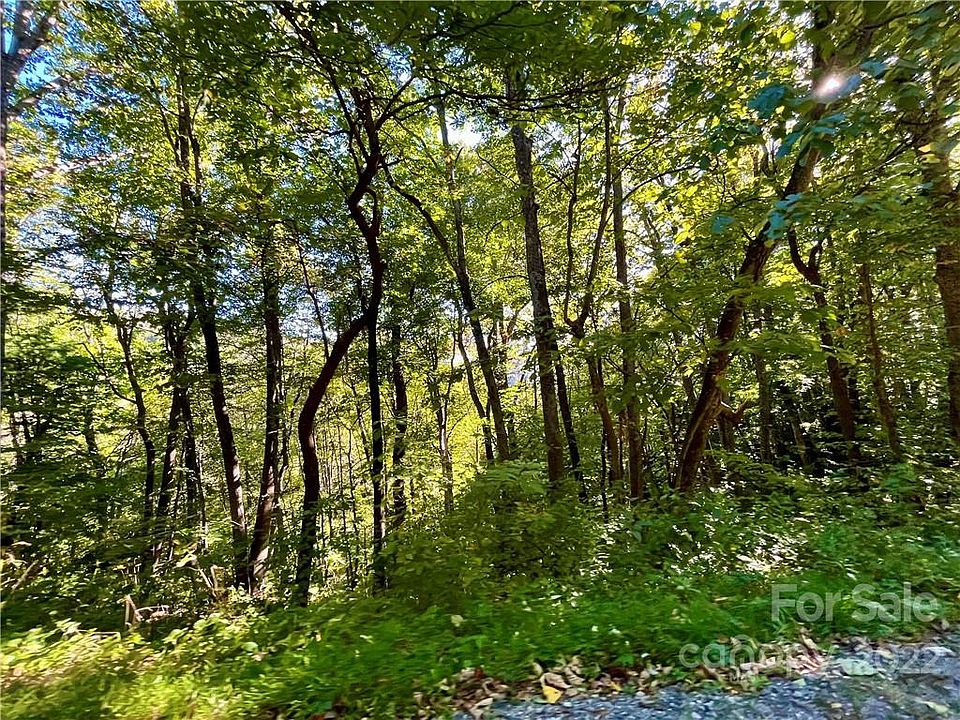 00 Elk Creek Rd, Deep Gap, NC 28618 MLS 3906770 Zillow