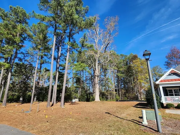 410 Cornubia Drive, Castle Hayne, NC 28429