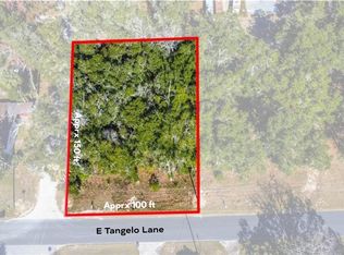 5431 E Tangelo Ln, Inverness, FL 34453