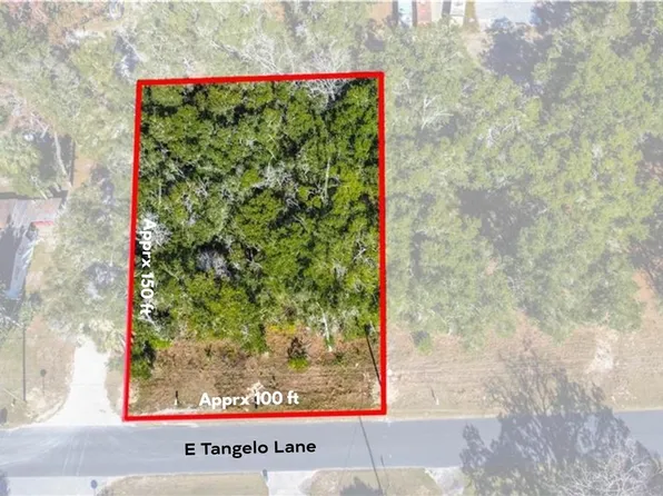 5431 E Tangelo Ln, Inverness, FL 34453