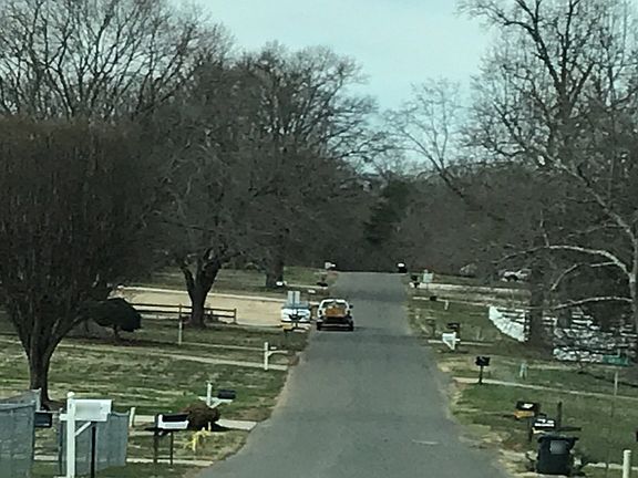 5th image of 419 Pam Dr
