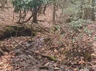 Tbd Pine Knoll Loop, Stuart, VA 24171