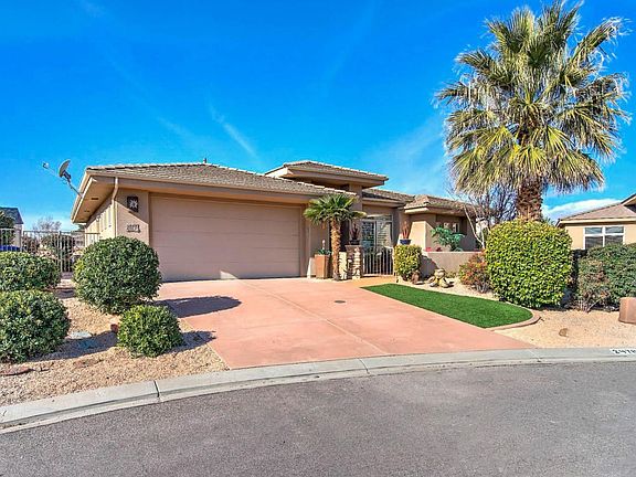 Palm trees provide shade