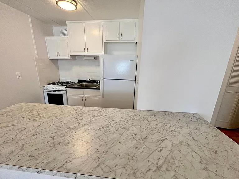 480 Halstead Ave #4R — Photo 4