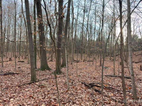 Stoneybrook Trl, Hubbardston, MI 48845