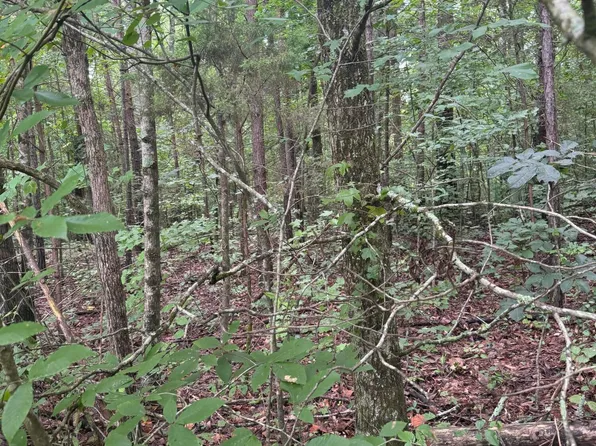 91 Big Cedar Dr #91, Dunlap, TN 37327