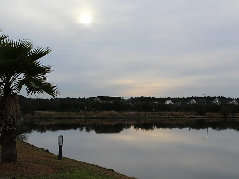 485 Canyon Oak Loop — Photo 15