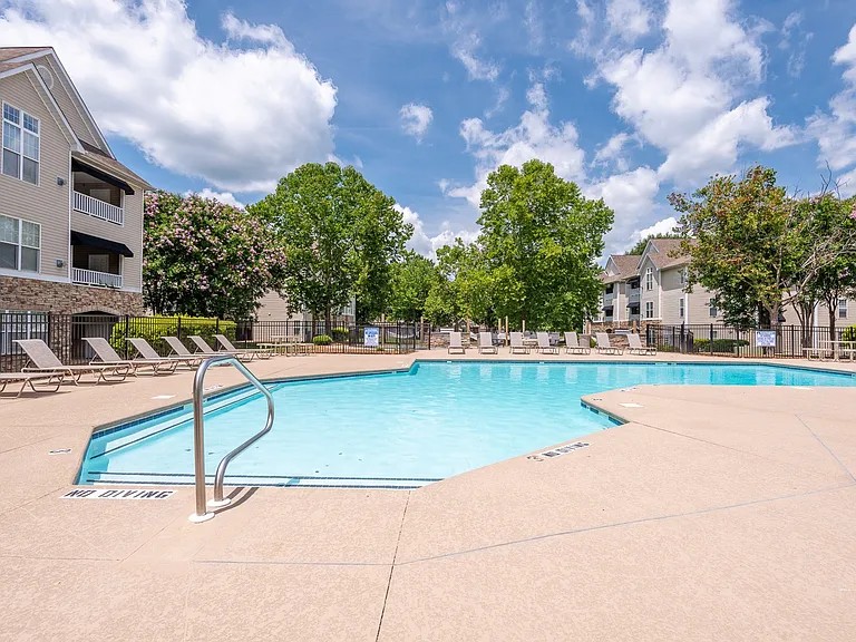 Sparkling Swimming Pool