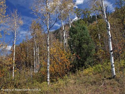 315 Firehouse Rd, Redstone, CO, 81623