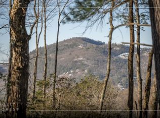 65 Buckberry Dr, Sapphire, NC 28774