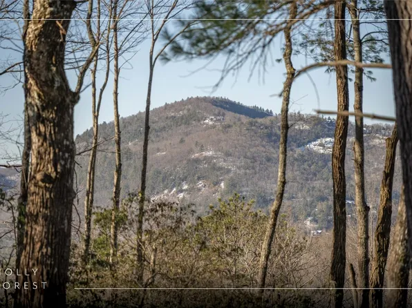 Lot 65 Buckberry Drive, Sapphire, NC 28774