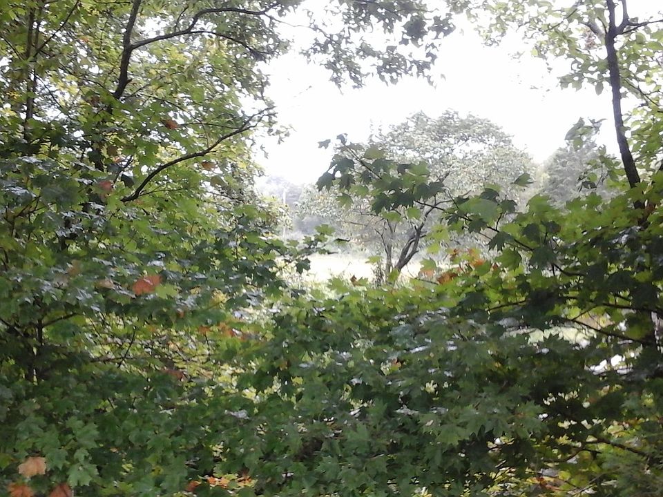 2nd image of 0 County Road 717 Lot 4