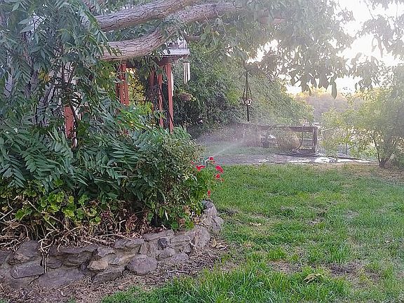 Front Lawn with Planter