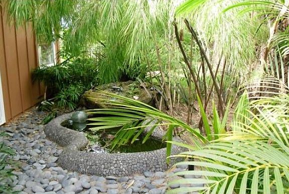 Pond