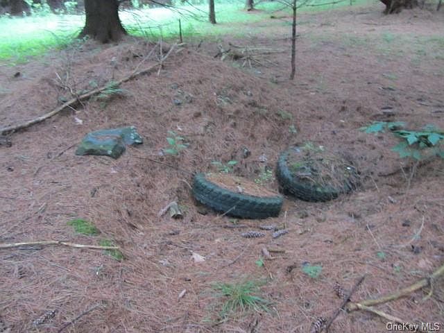 2nd image of Irish Cape Rd