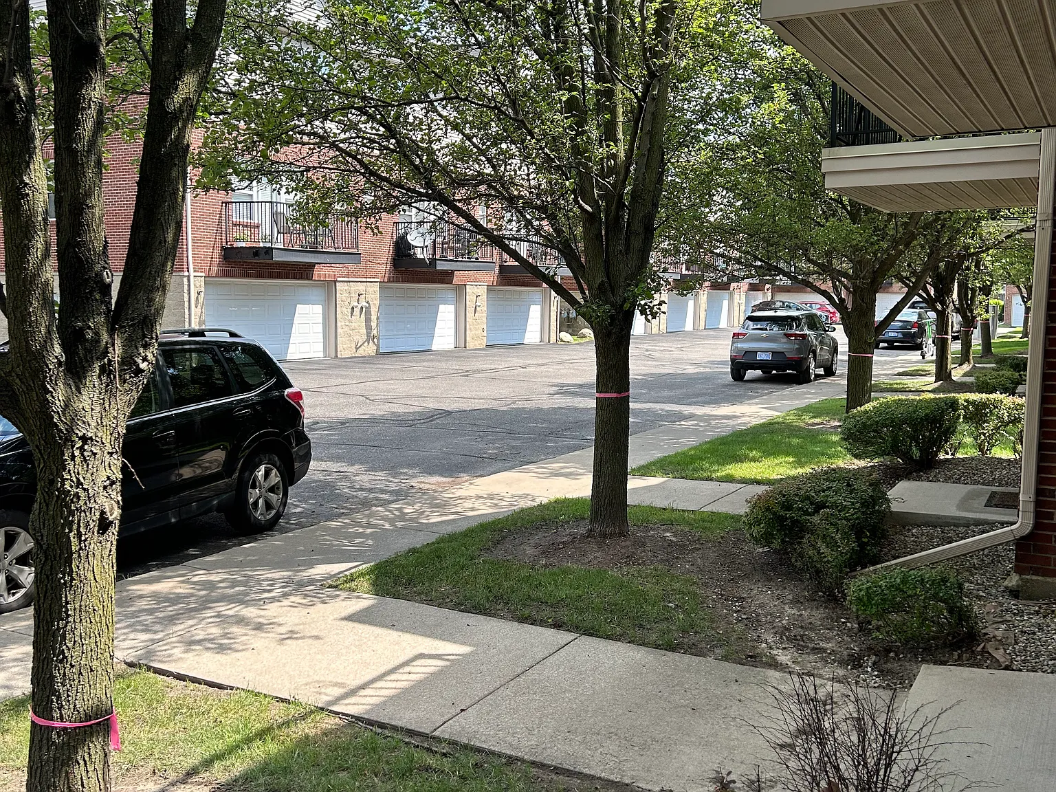 1 bed, 1200 sqft, $1,650 — Photo 2