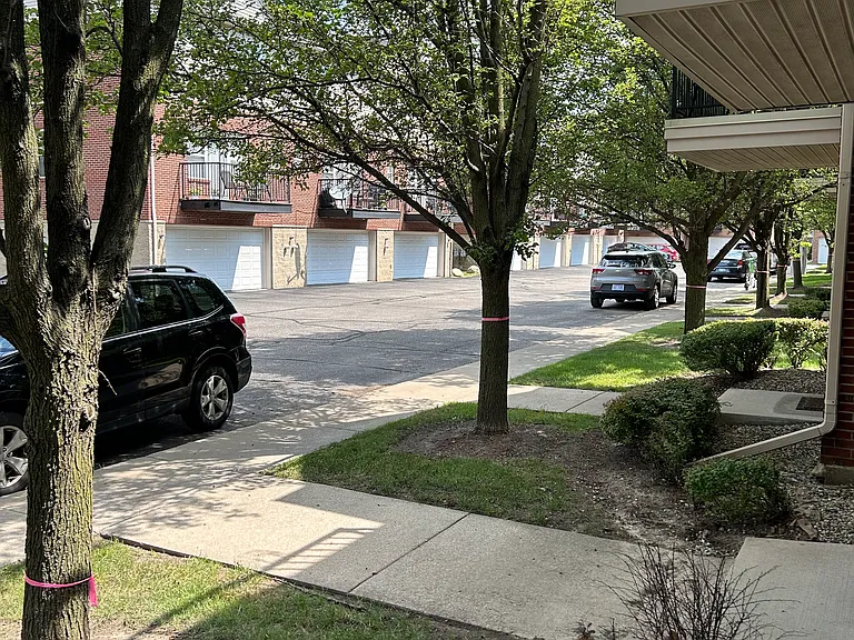 270 E Palmer St #270 — Photo 2