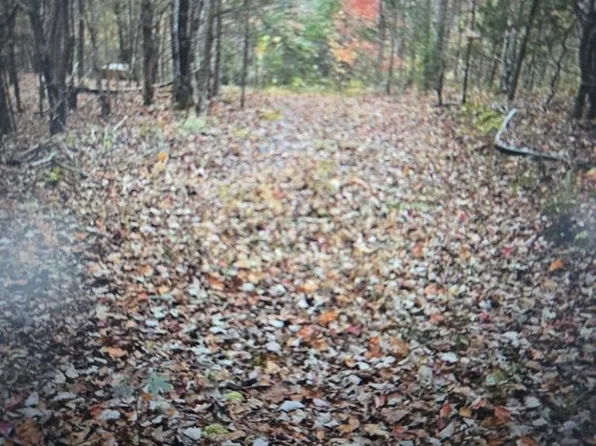 Kenneth Linder Coyote Ln, Livingston, TN 38570