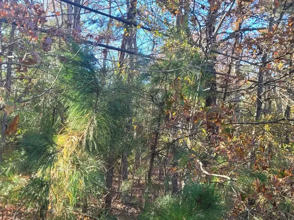 Rock Pt, Newburg, MD 20664