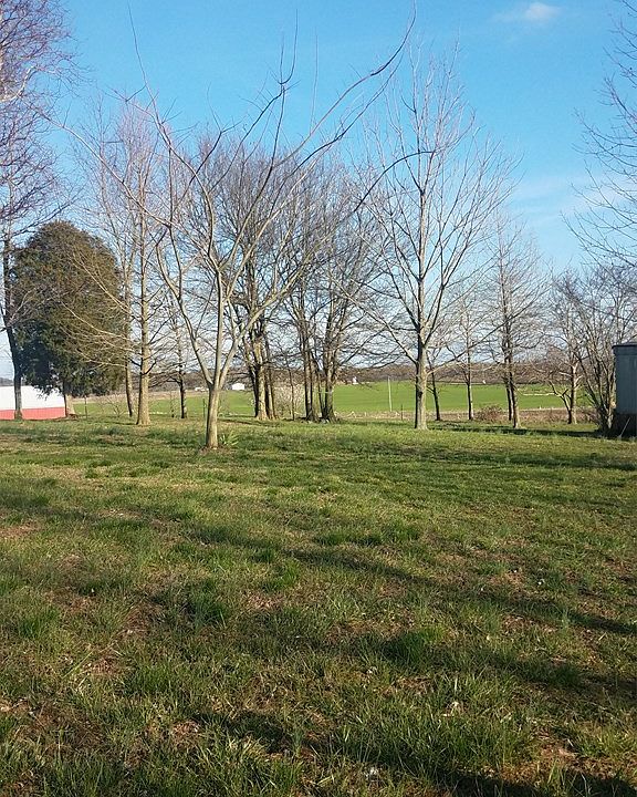2nd image of 105 Tucker Ln