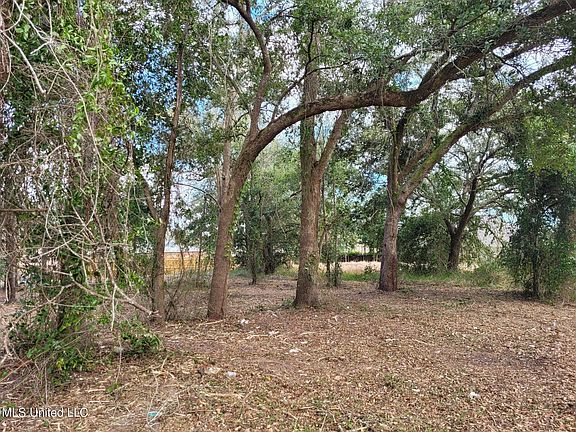 5th image of Destiny Oaks Dr Lot 20