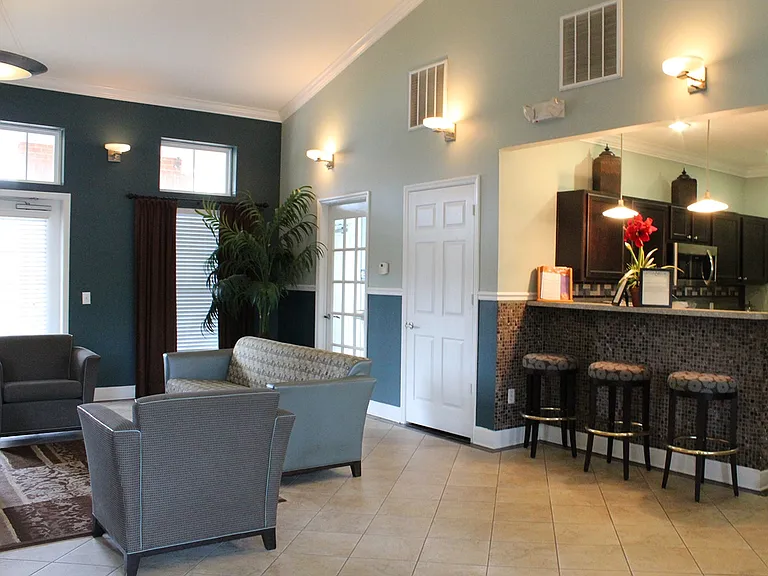 Pinnacle at Magnolia Pointe — Photo 10