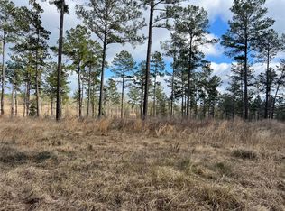 7 Red Lowe Rd, Livingston, TX 77351