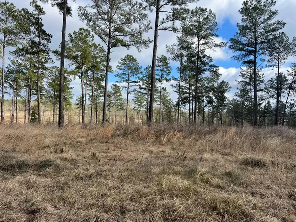 7 Red Lowe Rd, Livingston, TX 77351