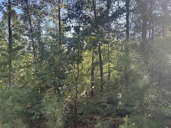5th image of 0 Springer Rd #86