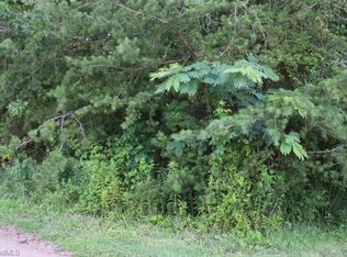 Conifer Ct, King, NC 27021