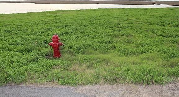 2nd image of 1301 Lagoon Dr