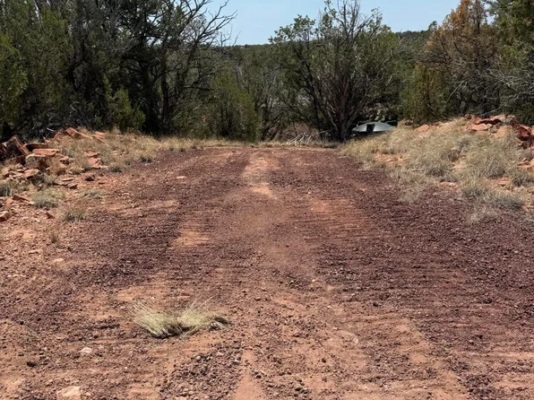 33395 W Lago Cir, Seligman, AZ 86337