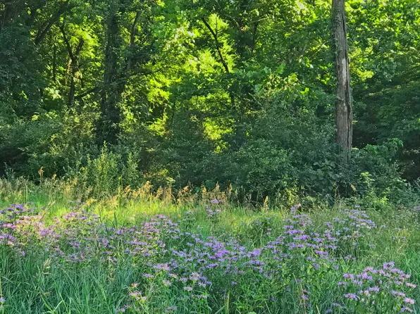 Dolans Ave, Vandalia, MI 49095