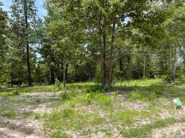 County Road 2160 Phase 2 #D, Tatum, TX 75691