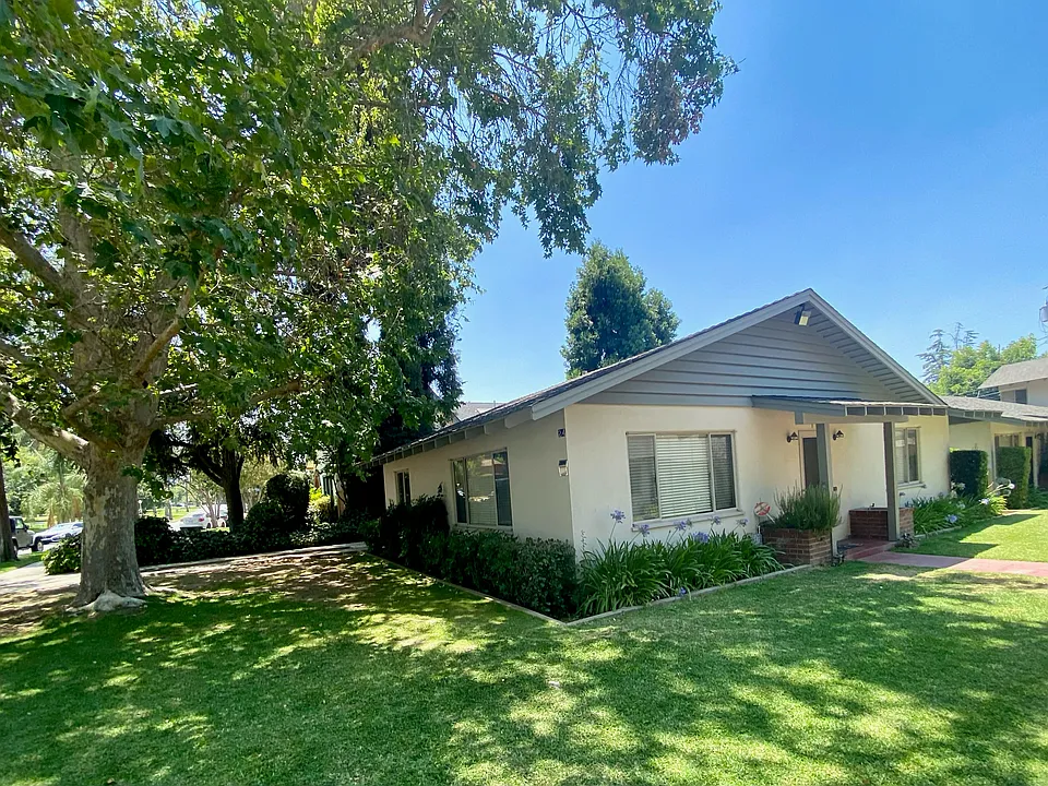Shaded side yard