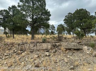 100 Avalon Ct, Ruidoso, NM 88345