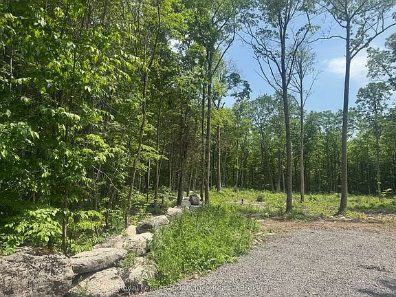 2nd image of 378 Station Rd