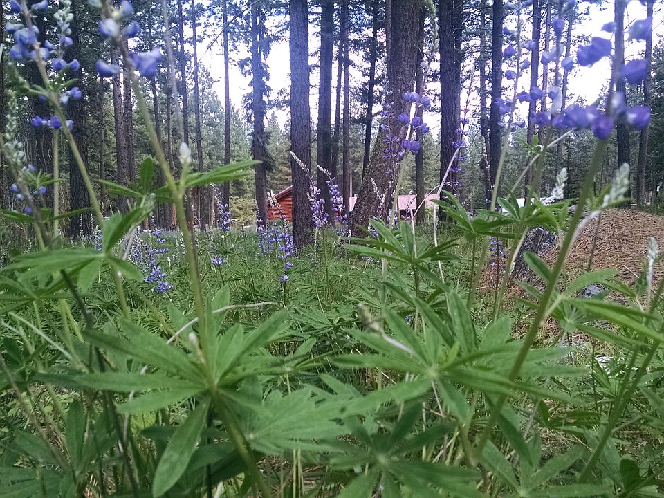1st image of 1099 Judd Creek Holw