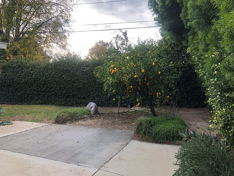 6521 Baird Ave — Photo 3