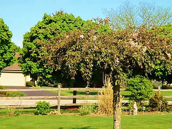 Quiet neighborhood with nearby golf course