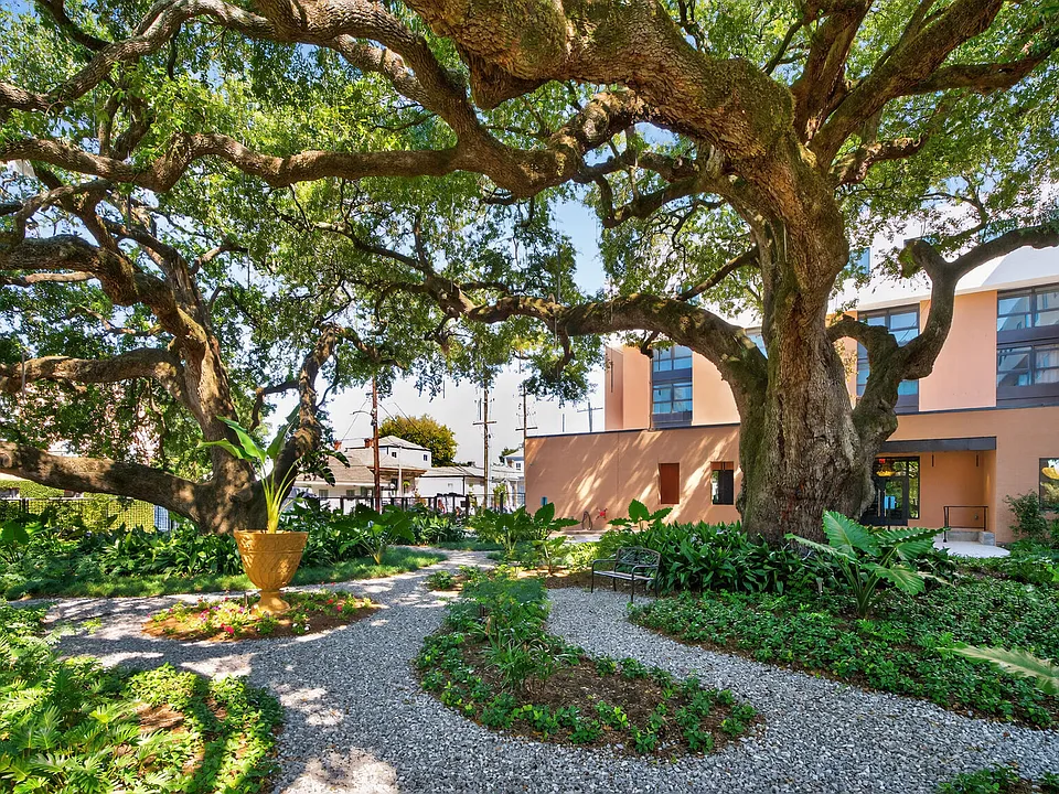 Oak Tree Garden