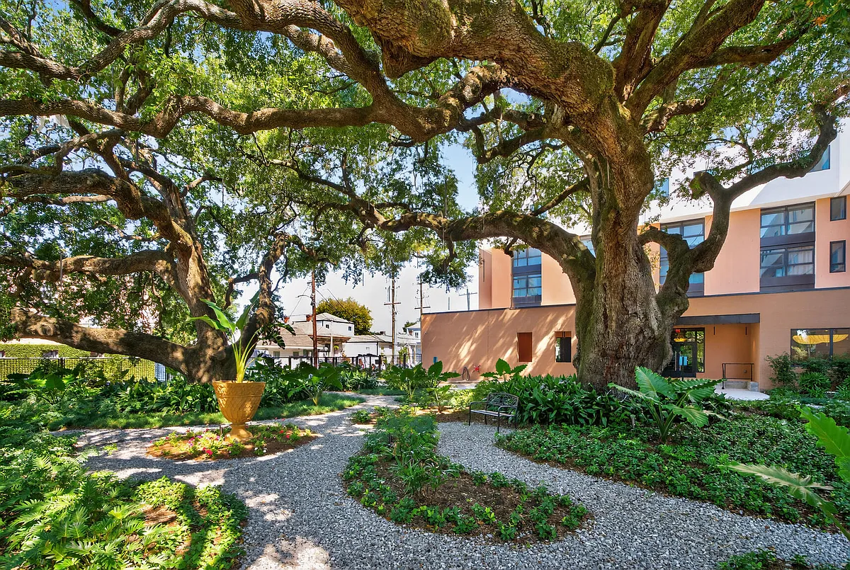Photo 2 of 28 - The Jackson - New Orleans, LA Oak Tree Garden - The Jackson